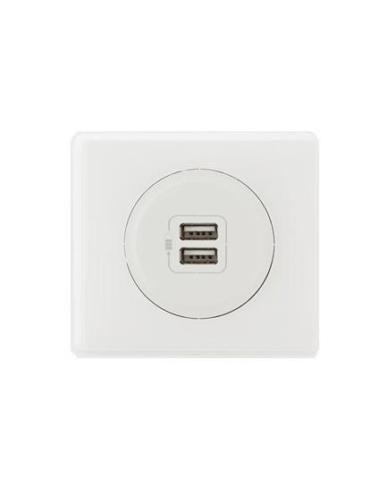 Legrand Prise double avec USB C et A, LEGRAND Mosaic, blanc