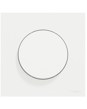 Va-et-vient ou poussoir 10AX Complet Blanc Craie Odace Schneider